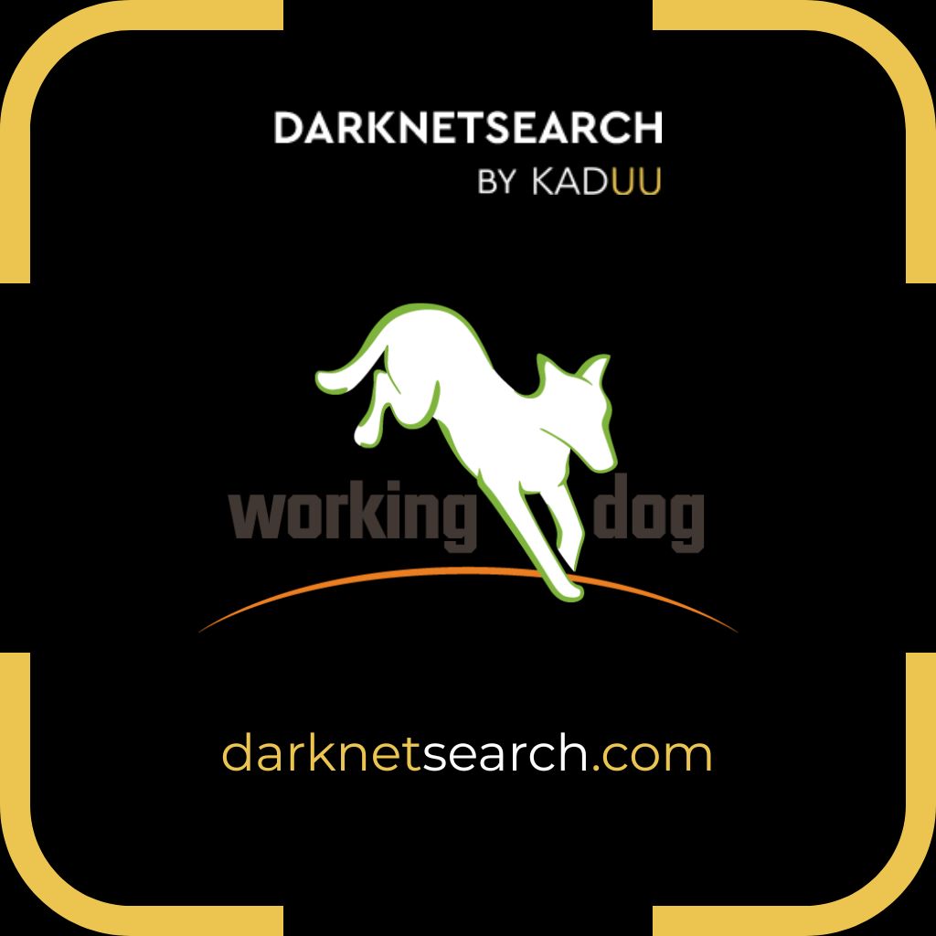 Working-Dog.com Data Leak Exposes 4 Billion Records in Unsecured Server: Full Report