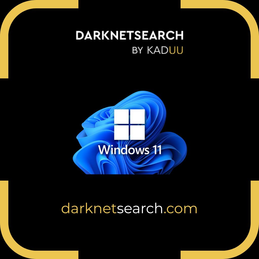 Windows 11 Vulnerabilities Urgente: 2 Fallos Críticos Revelados