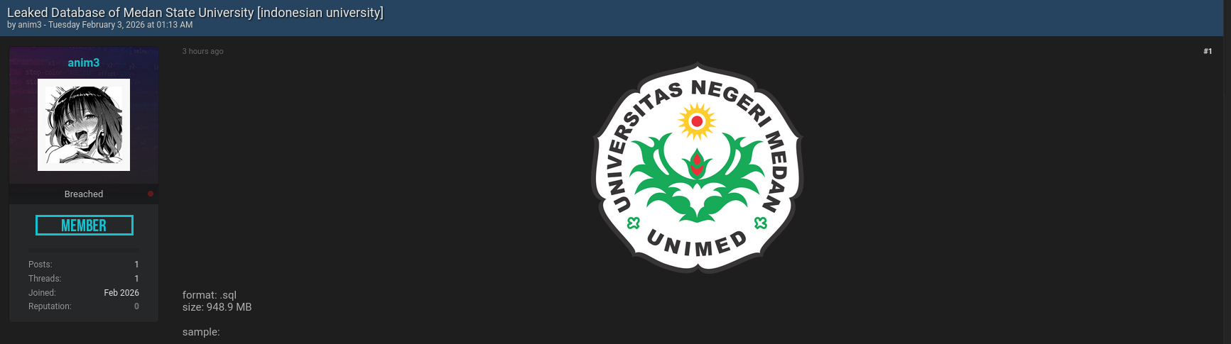 Medan State University